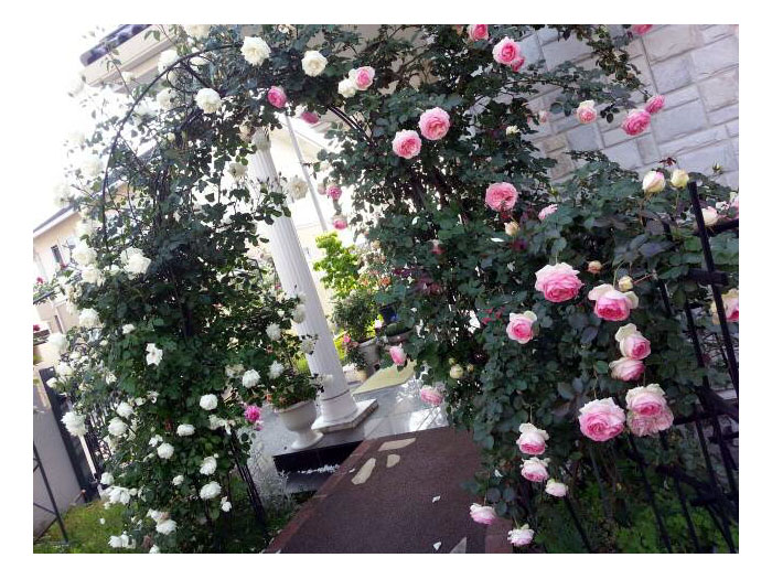 akabane20130630
