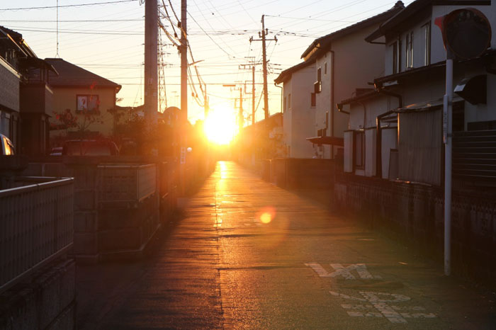 hoshino20131210_2