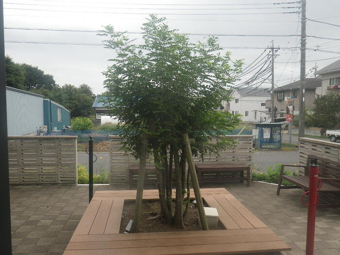 hoshino20220920