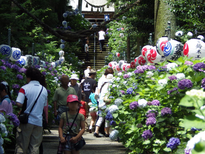 ikemura20140730_1
