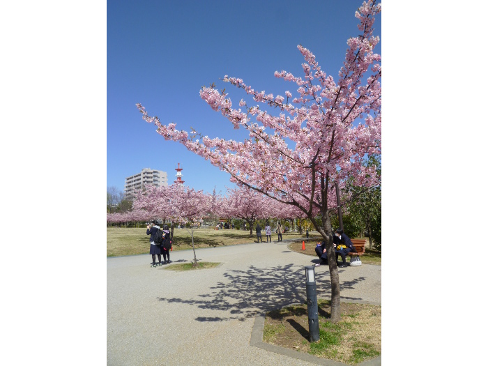 kanai20150330