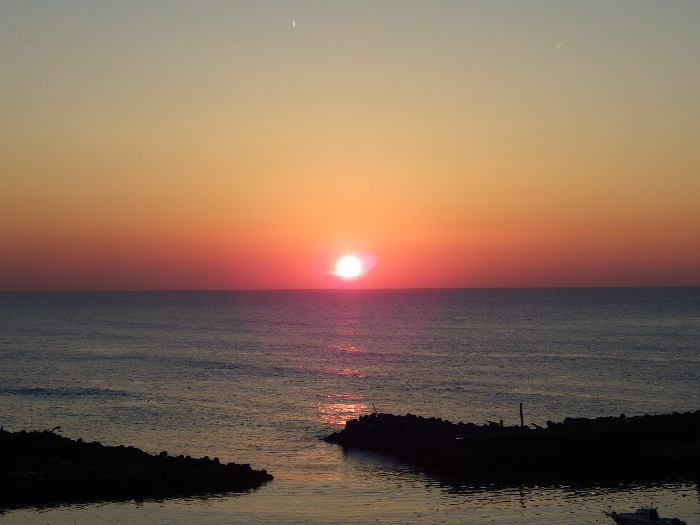 ikemura20150520
