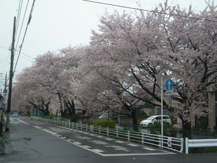 maruyama20160410