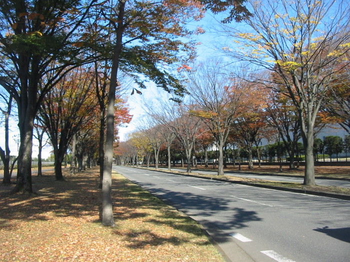 akutsu20171130
