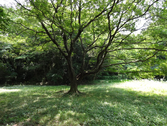 ito20190910