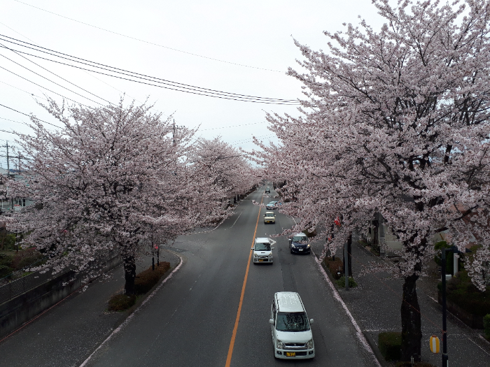 ikemura20200410_1