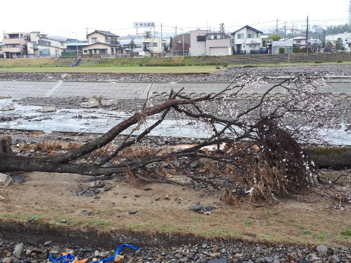 ikemura20200410_2