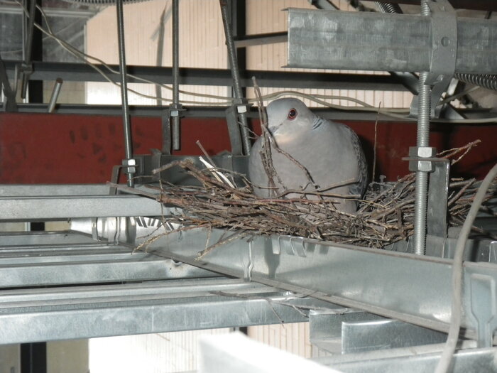 sasaki20200520