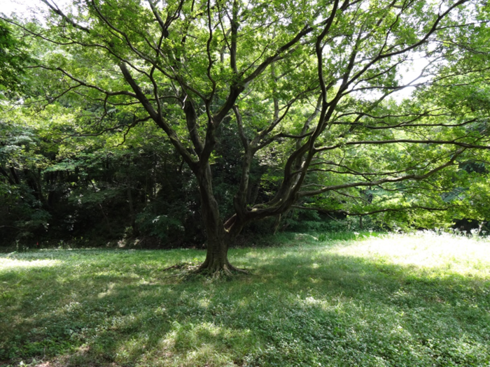 itou20200620