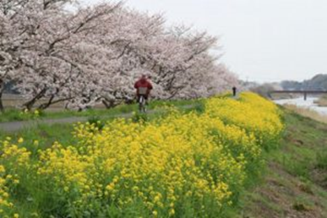 itou20220430